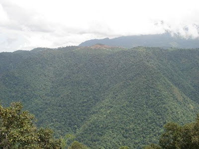 Sanjay takes us through the colina countryside of Wayanad inwards God IndiaTravel; In Wayanad, Kerala's colina country.