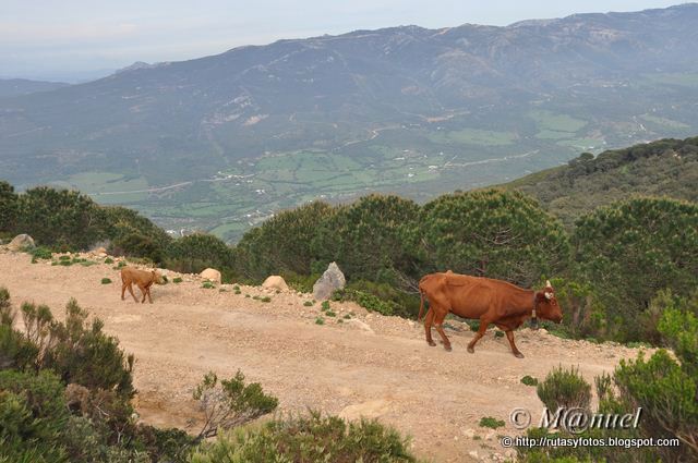 Facinas - Sierras de Salaviciosa y Fates