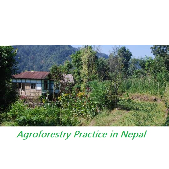 Agroforestry and Food Security Status in Nepal-- Agroforestry practice