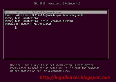 Ubuntu 12.04 LTS