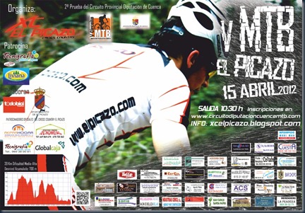 cartel_picazo_2012_800