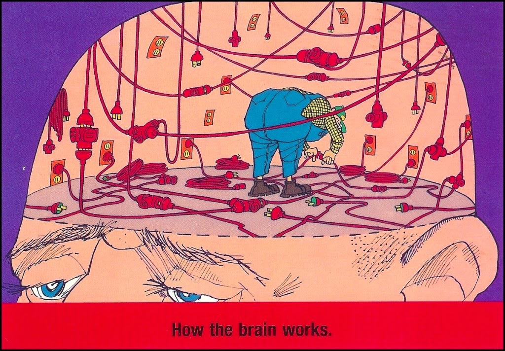 رسم كارتوني" للوصلات البينيّة في الدماغ من "جيري فان آميرونجين
