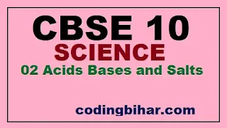 CBSE 10 Science Acids Bases and Salts Chapter 02