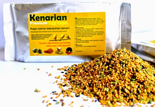 makanan kenari gacor panjang