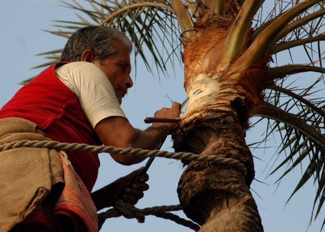 Cutting tree for juice