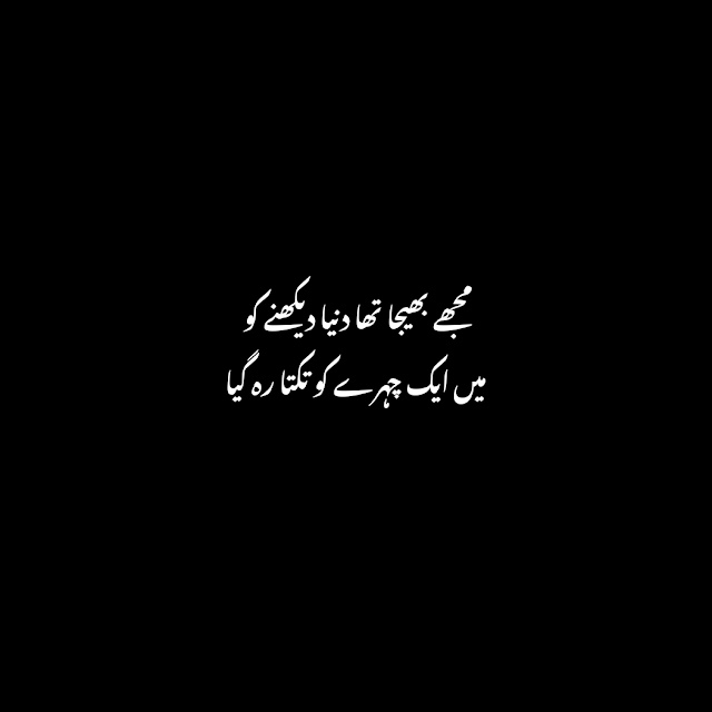 Love Poetry in Urdu | Poetry on Love in Urdu | (2023)