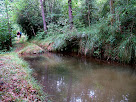 Canal i bassa del Fornot de Puigdomènec