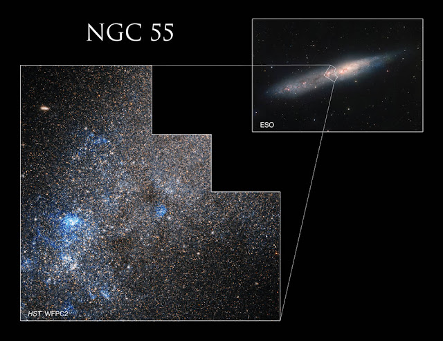 caldwell-72-galaksi-tipe-magellanic-di-rasi-sculptor-informasi-astronomi