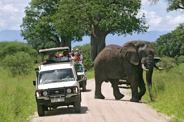 Kenya Luxury Safari