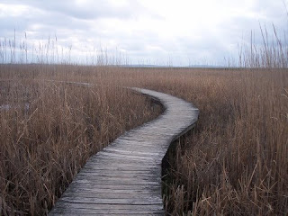 photo of Hellcat Trail, Plum Island, MA