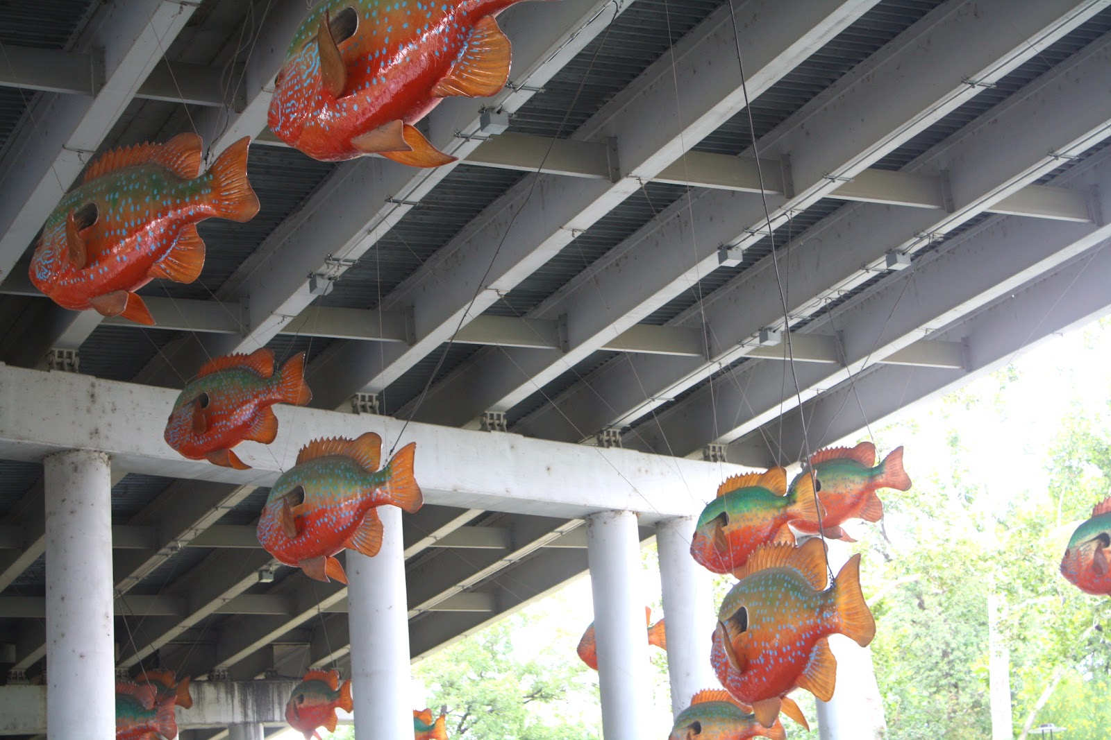 Dirtiest Kid in the World: Aquaponics: Urban Fish