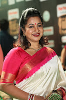 Radhika Sarathkumar (8).JPG