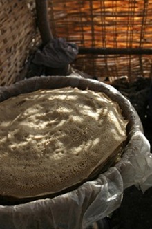 IMG_6460_thumb[1]