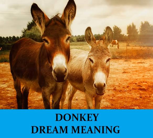 Dream of Donkey Meaning