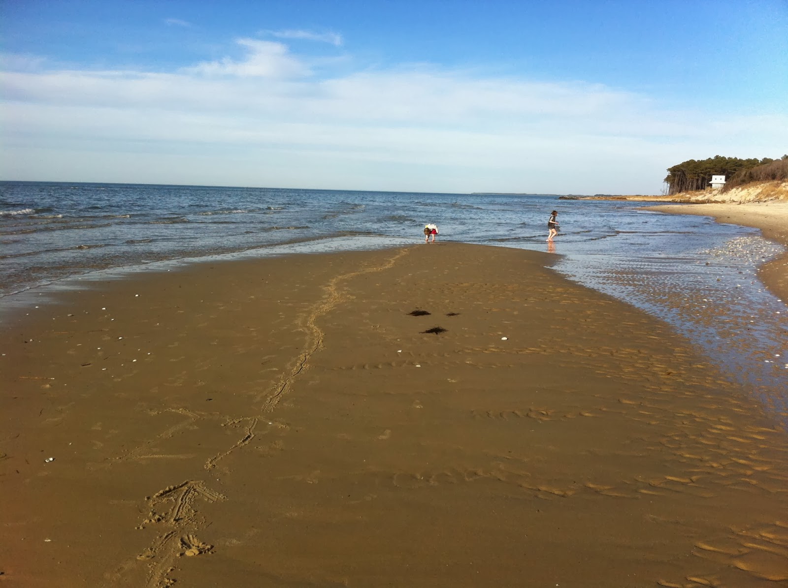 taffs america: savage neck dunes natural area preserve