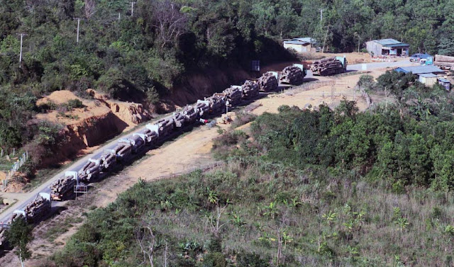 Convoy of log trucks