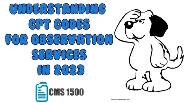 Understanding CPT Codes for Observation Services in 2023