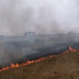 नवकागांव के खेत में लगी आग से पांच बीघा में गेहूं की खडी फसल व बोझ जलकर नष्ट  
