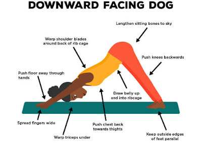 Adho Mukha Svanasana (Downward Facing Dog Pose)