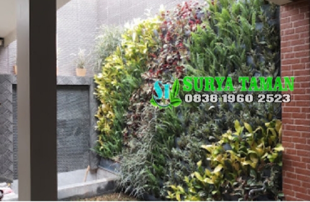 Jasa Pembuatan Vertical Garden di Bogor Raya - Alby flora