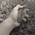 Lucidity and a Well (Pardon is Better Than Revenge)