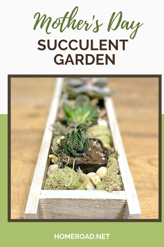 succulent garden pin
