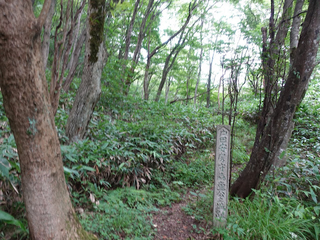 鳥取県西伯郡南部町東上の鎌倉山に登ります　このあたりから坂が急になります