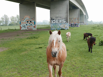 Onder de Andrej Sacharovbrug, paarden