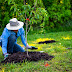 What is an Eco Footprint & Why Does it matter?