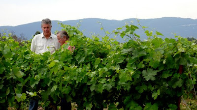 Anthony Bourdain: No Reservations - Provence - Tony on a tour of the Domaine de Val Joanis winery with owner Jean Chancel