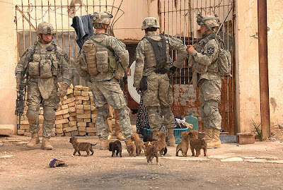 Soldiers with Pets Seen On www.coolpicturegallery.us