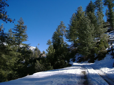 Auli to Joshimath Way