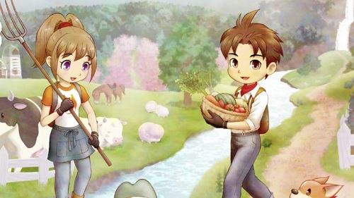 Does Story of Seasons: A Wonderful Life support Co-op Multiplayer?