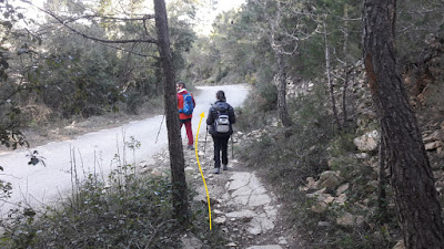 GR-7 MONT-RAL A LA RIBA, camí de Cabrera o de Mont-ral a lo Comellar del Blai