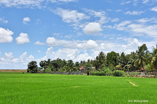 வாழ்வும்  வயலும் ...மட்டக்களப்பு மாவட்டம் 