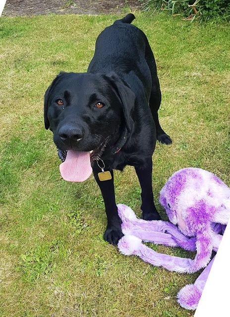 Irvin and his octopus toy