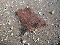 The matress at beach