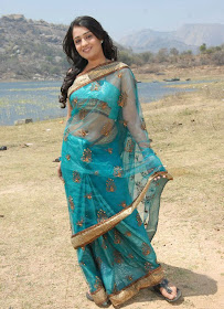 nikitha in saree actress pics
