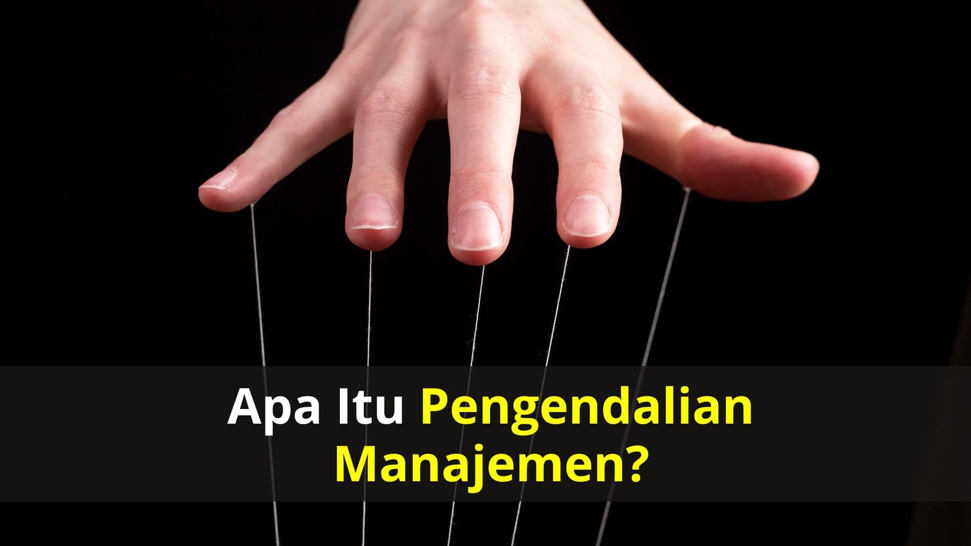 Apa itu Pengendalian Manajemen?