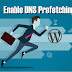 Enable DNS Prefetching in WordPress For Faster Loading