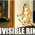 Invisible Bike Riding