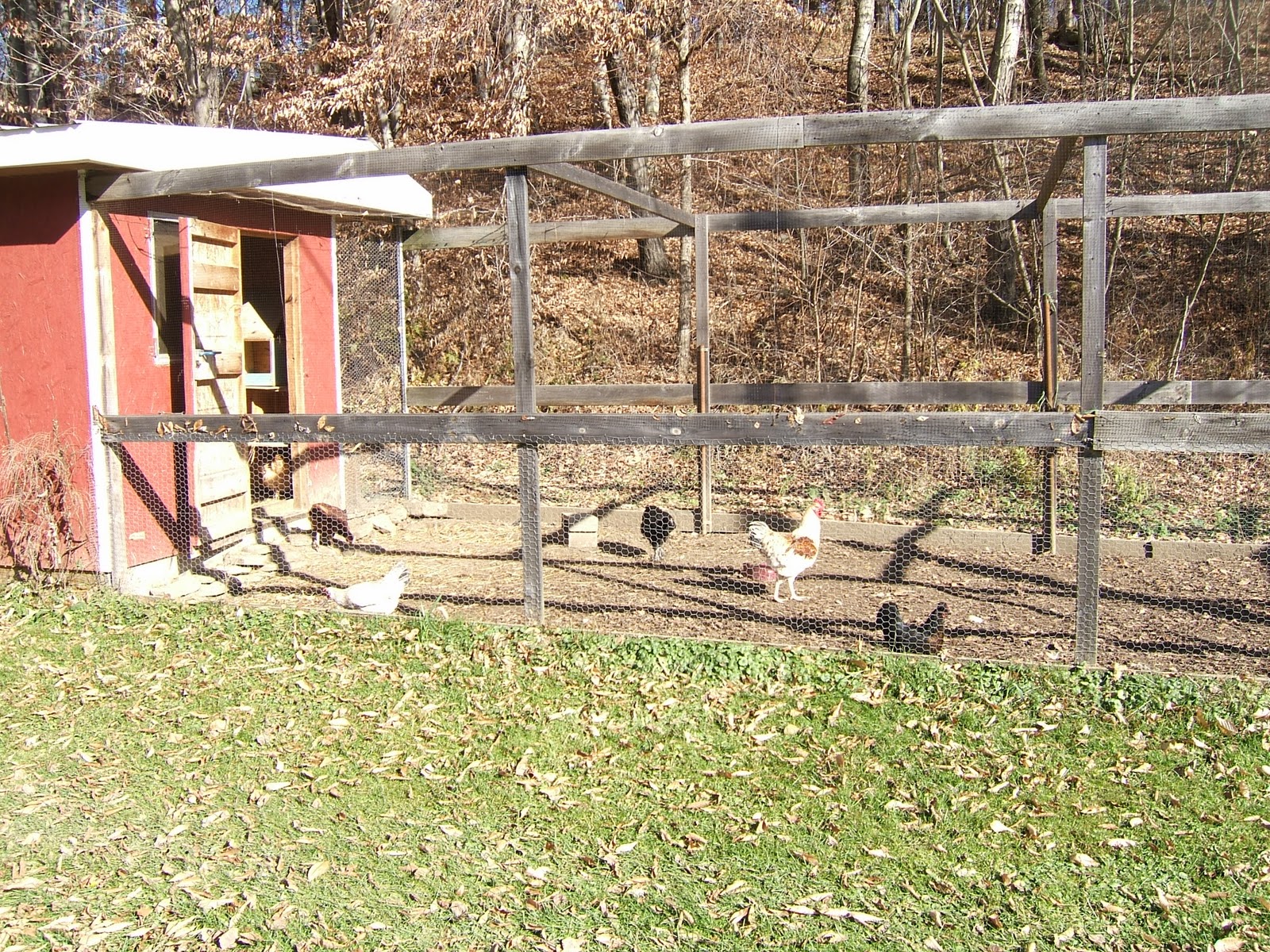  Chicken Coop Valley Stream diy chicken coop ideas