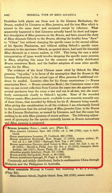 Описание Brucea javanica, выполненное Элмером Дрю Мерриллом в «Journal of the Arnold Arboretum» ("Журнал Дендрария Арнольда", 1928 год, том 9, стр. 3)