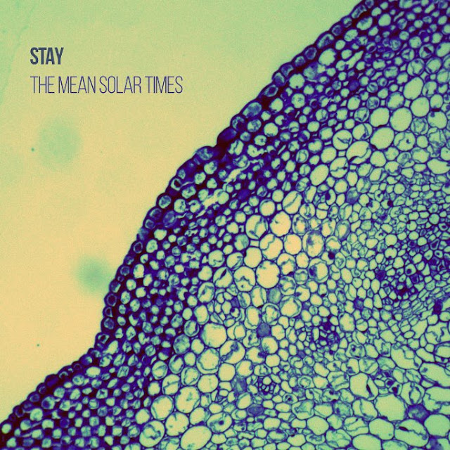 disco STAY - The mean solar times