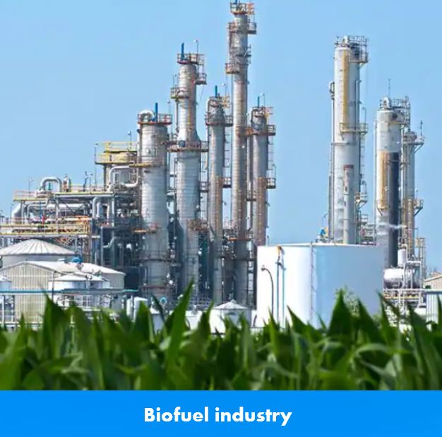 biofuel industry
