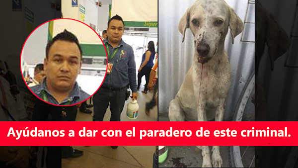 (SE BUSCA) Gerente De 'Soriana' De Una Patada Le Rompe La Quijada A Un Cachorro Indefenso.