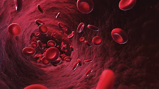 Is it possible to prevent anemia?
