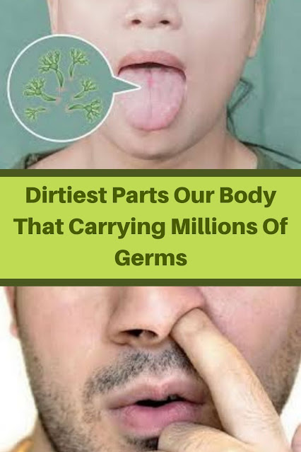 Dirtiest Parts Our Body That Carrying Millions Of Germs