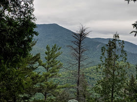 Hoffman Ridge from Jones Mountain