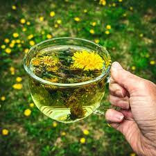 Dandelion Tea For People with Diabetes